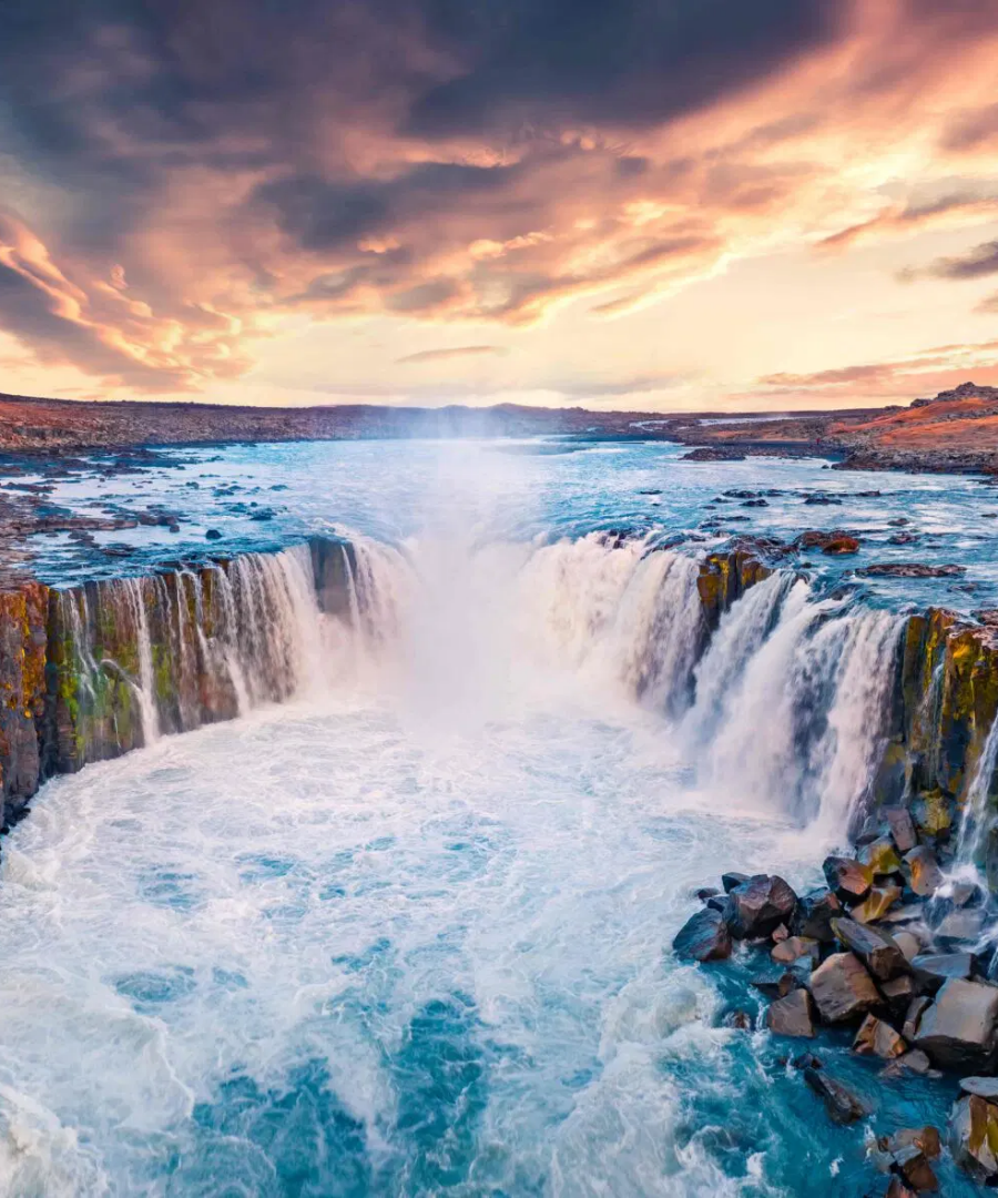 Transfer to or from Selfoos